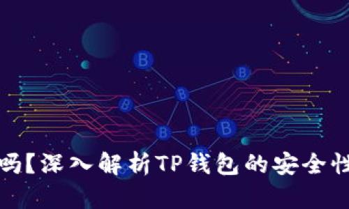 TP钱包安全吗？深入解析TP钱包的安全性与使用建议