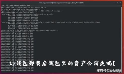tp钱包卸载后钱包里的资产会消失吗？