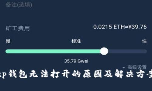 tp钱包无法打开的原因及解决方案