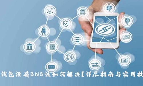 TP钱包没有BNB该如何解决？详尽指南与实用技巧