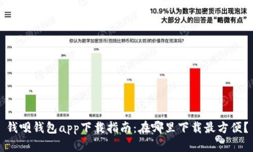 钱呗钱包app下载指南：在哪里下载最方便？