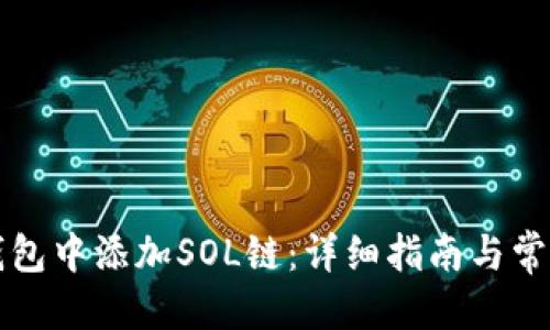 标题  
如何在TP钱包中添加SOL链：详细指南与常见问题解答