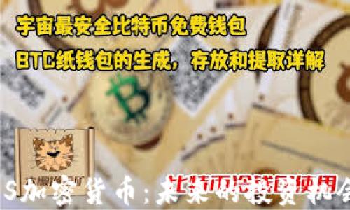 
深入探索MDS加密货币：未来的投资机会与市场潜力