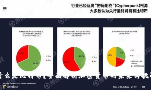 什么是比特币？全面解析加密货币的未来与挑战