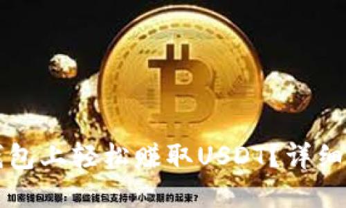 如何在TP钱包上轻松赚取USDT？详细攻略与技巧