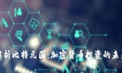 全面解析比特元圆：加密