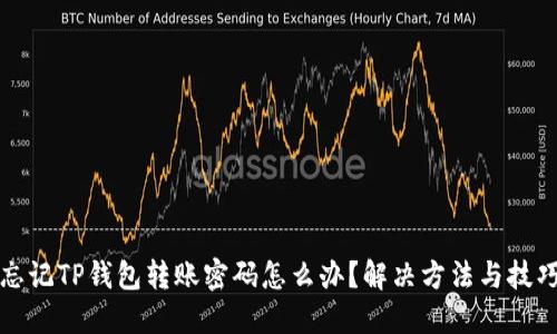 忘记TP钱包转账密码怎么办？解决方法与技巧