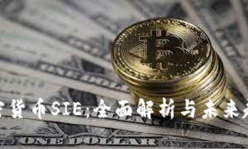 加密货币SIE：全面解析与未来趋势