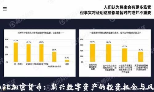 
RARE加密货币: 新兴数字资产的投资机会与风险