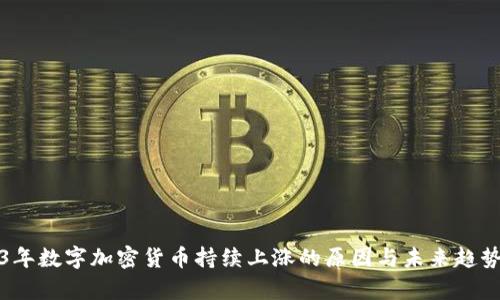 2023年数字加密货币持续上涨的原因与未来趋势分析