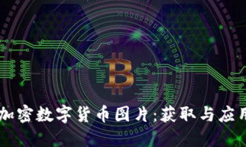 高清加密数字货币图片：获取与应用指南