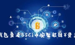 如何使用TP钱包查看BSC（币安智能链）资产和交易