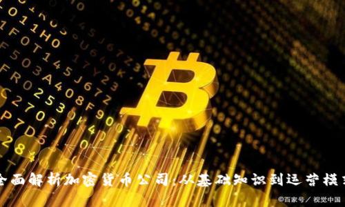 全面解析加密货币公司：从基础知识到运营模式