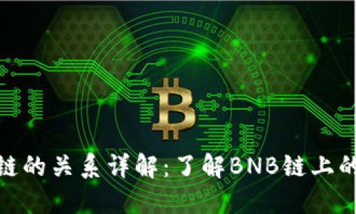 TP钱包与BNB链的关系详解：了解BNB链上的数字资产管理