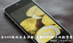 TP钱包与BNB链的关系详解：