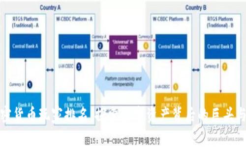 全球加密货币玩家排名：探索数字资产背后的巨头与创新者