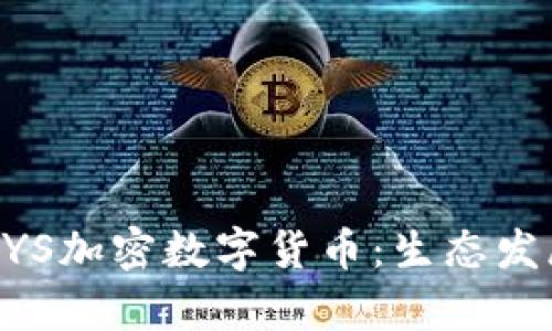 全面解析KRSYS加密数字货币：生态发展与投资潜力