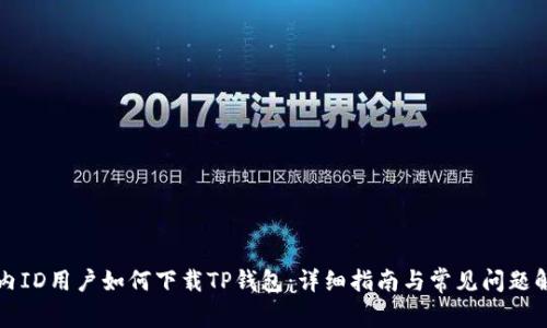 国内ID用户如何下载TP钱包：详细指南与常见问题解答