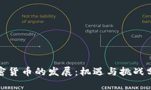加密货币的发展：机遇与挑战分析