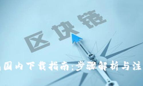 TP钱包国内下载指南：步骤解析与注意事项