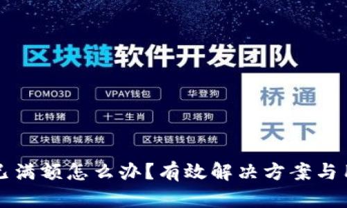 TP钱包已满额怎么办？有效解决方案与用户指南