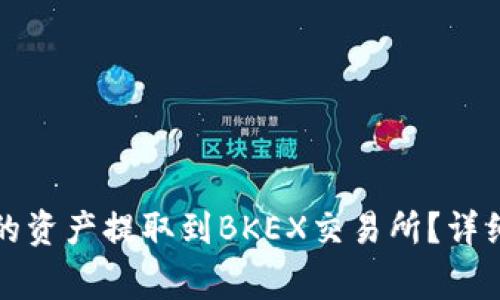 如何将TP钱包中的资产提取到BKEX交易所？详细指南与注意事项