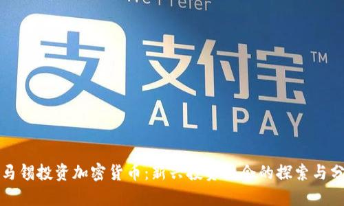 淡马锡投资加密货币：新兴投资机会的探索与分析