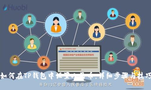 如何在TP钱包中设置人民币：详细步骤与技巧