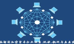 全面解析加密货币企业调