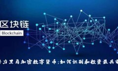 与关键词2023年潜力黑马加