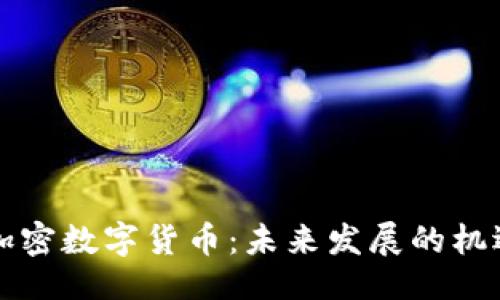 ```xml
意大利加密数字货币：未来发展的机遇与挑战