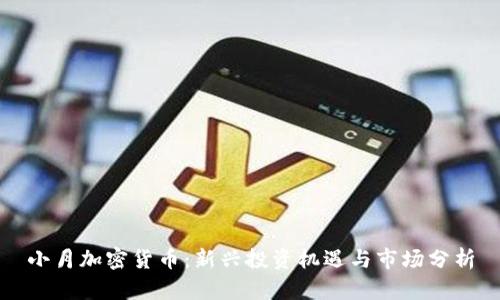小月加密货币：新兴投资机遇与市场分析