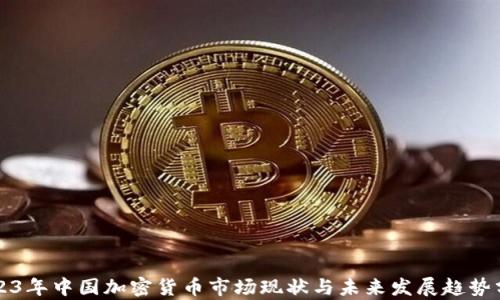 
2023年中国加密货币市场现状与未来发展趋势分析