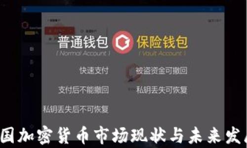 
2023年中国加密货币市场现状与未来发展趋势分析