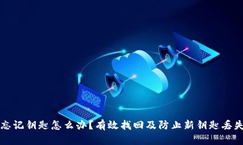 TP钱包忘记钥匙怎么办？有效找回及防止新钥匙丢失的方法