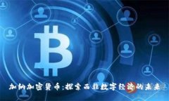加纳加密货币：探索西非