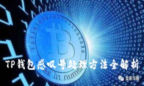 TP钱包感叹号处理方法全解析