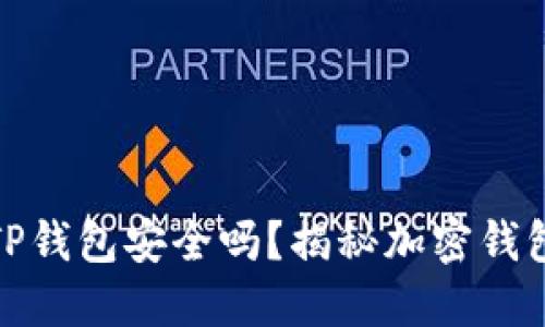 华英会的钱放TP钱包安全吗？揭秘加密钱包安全性及风险
