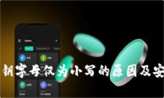 TP钱包私钥字母仅为小写的