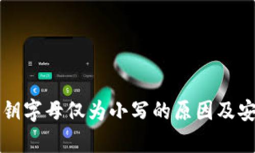 TP钱包私钥字母仅为小写的原因及安全性分析