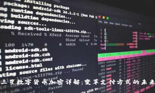 三星数字货币加密详解：变革支付方式的未来