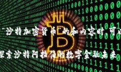 在设计一个关于“沙特加
