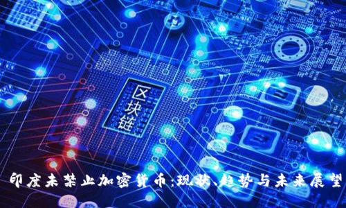 印度未禁止加密货币：现状、趋势与未来展望