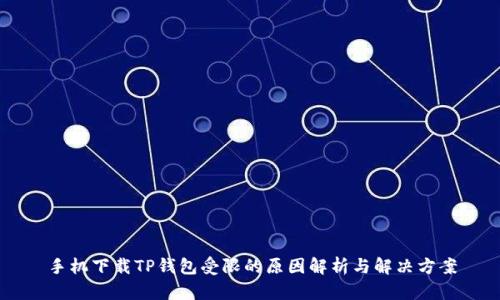 手机下载TP钱包受限的原因解析与解决方案