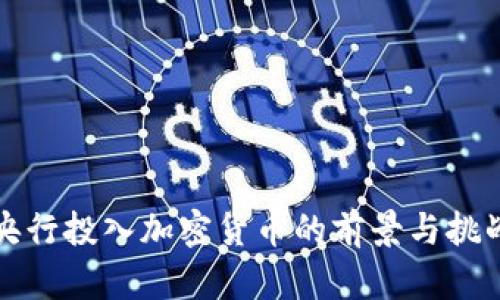 央行投入加密货币的前景与挑战