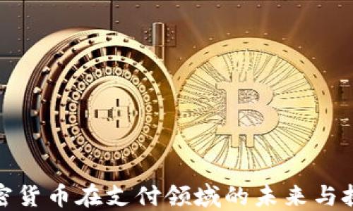 
加密货币在支付领域的未来与挑战