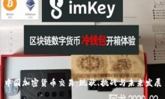 中国加密货币交易：现状、挑战与未来发展