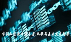 中国加密货币领导者：现状与未来发展趋势
