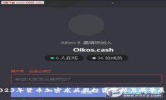 2023年货币加密龙头股投资分析与前景展望