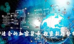 ICP适合的加密货币：投资